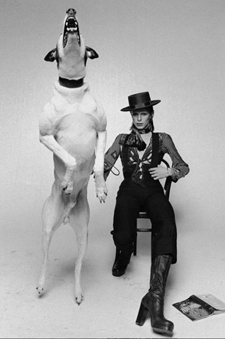 Terry O'Neill, Diamond Dogs, 1974 - Terry O'Neill: "Der Blitz erschreckte den Hund, so dass er danach schnappen wollte - eine Session für das Diamond Dogs-Album, Galerie Stephen Hoffman, Munich