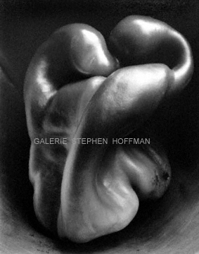 Edward Weston, Pepper, 1930 - Galerie Stephen Hoffman - Munich