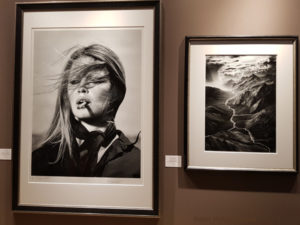 Highlights 2020 InternationaleKunstmesse Muenchen Galerie Stephen Hoffman, Foto: Helga Waess
