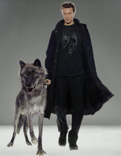 Markus Klinko, NATURAL VILLAINS - David Bowie, Galerie Stephen Hoffman