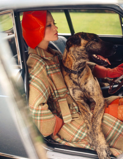 Norman Parkinson, Das britische Model Celia Hammond mit einem Hund posierend, Vogue 1967 - Galerie Stephen Hoffman