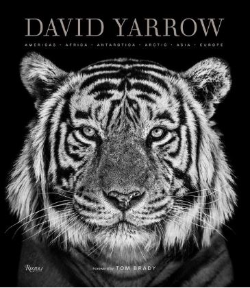 David Yarrow, Photography. America Africa Antarctica Arctic Asia Europe, Buch 2019
