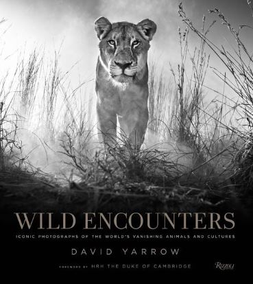 David Yarrow, Wild Encounters, Buch 2016