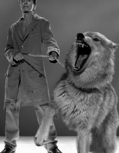 Markus Klinko: The Protector - David Bowie-Galerie-Stephen Hoffman-Muenchen