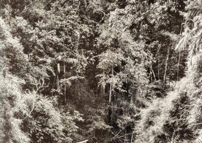 Sebastiao Salgado, Amazonien "Regenwald" -Galerie Stephen Hoffman, München