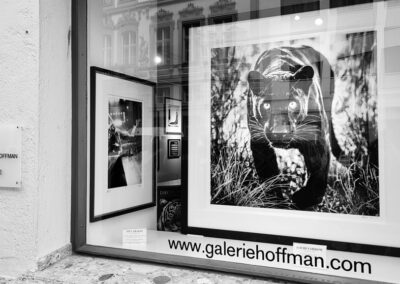 David Yarrow - ED Caraeff - Galerie Stephen Hoffman - Foto Helga Waess