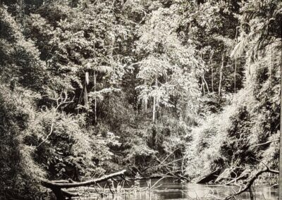 Sebastiao Salgado - Amazonia, Galerie Stephen Hoffman, München